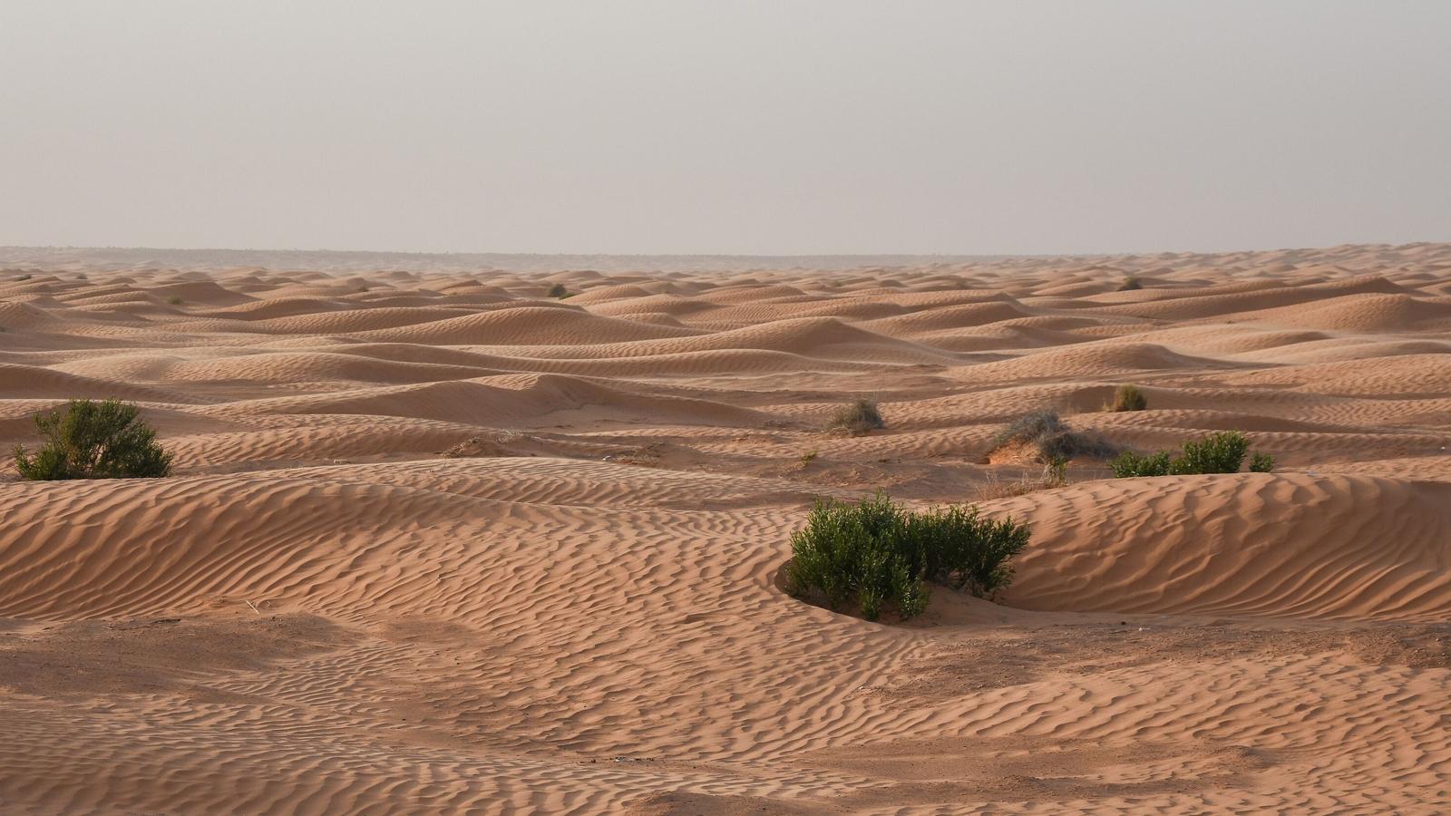 Sahara near Jebil, Kebili